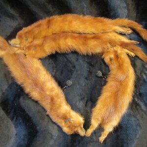 Vintage Mink Full Body Fur Pelt Stole Scarf